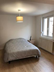 una camera con un letto in una stanza con una finestra di Appartement moderne & lumineux 40m2 Centre Luxeuil a Luxeuil-les-Bains