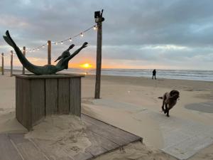 a dog walking on the beach with a statue of a mermaid at ZeeBedStay in Noordwijk aan Zee