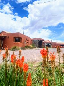 a group of flowers in front of a building at Finca La Candelaria in Maimará +61 photos