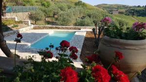 - une piscine avec des fleurs rouges dans un pot dans l'établissement Villa Casale Settesoldi, à Salemi