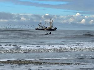 a boat in the ocean with people in the water at ZeeBedStay in Noordwijk aan Zee