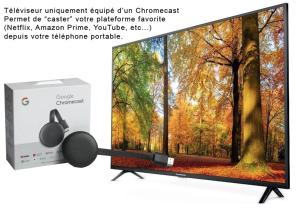 a television with a picture of a forest at Savannah in Muhlbach-sur-Munster