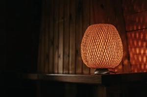 a microphone sitting on top of a table at Cosy and romantic forest house in Putten +9 photos