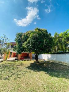 a tree in a yard next to a fence at Ma Baan House by the sea in Cha Am Beach