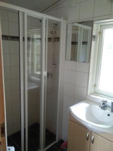 uma casa de banho com um chuveiro e um lavatório. em Björktorpet em Linneryd