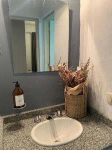 un lavabo con espejo y una botella de jabón. en Depto confortable en calle Bicentenario en Salta