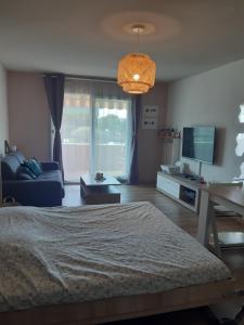 Kuchyňa alebo kuchynka v ubytovaní Appartement 3P avec garage proche aéroport, tramway et avec toutes commodités! + 4 fotografie