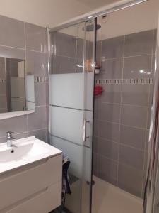 La salle de bains est pourvue d'une douche et d'un lavabo. dans l'établissement Appartement 3P avec garage proche aéroport, tramway et avec toutes commodités!, à Nice