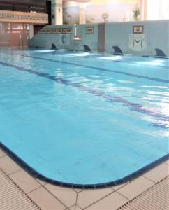 a large swimming pool with blue water at Herzerl Apartment in Sankt Englmar
