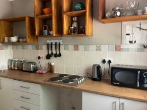 a kitchen with a stove and a microwave on a counter at Vintage Palm II in Gaborone