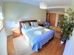 a bedroom with a large bed and a potted plant at Lisbon 2 bedroom apartment with balcony in Algés in Algés