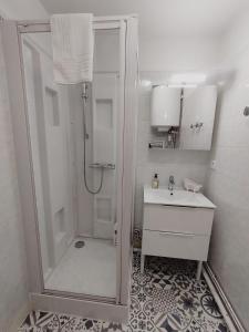bagno bianco con doccia e lavandino di Chez Lucia appartement climatisé a Périgueux