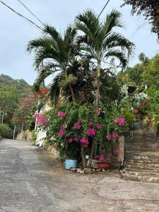 a street with pink flowers and a palm tree at Homestay Luna mountain & sea views! in Vung Tau