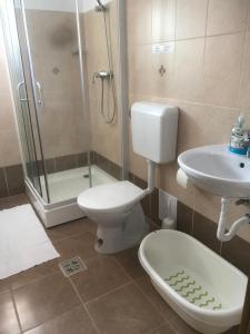 y baño con aseo, lavabo y ducha. en Casa Bogát Ház en Harghita-Băi