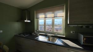 una cucina con lavandino e finestra di LuccaStay a Lucca