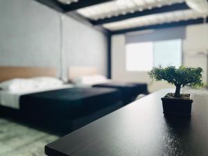 ein Schlafzimmer mit einem Bett und einem Tisch mit einer Pflanze in der Unterkunft Venecia Loft in Medellín