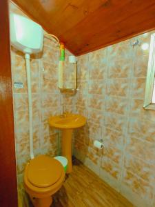 ein kleines Bad mit WC und Waschbecken in der Unterkunft Quarto Maringá Minas in Bocaina de Minas