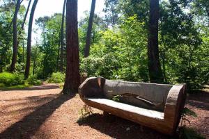 a wooden bench sitting in the middle of a forest at Charme, balcon, parking, piscine, tramway, Netflix in Mérignac