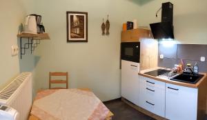 una pequeña cocina con fregadero y nevera. en Ferienwohnung Weseraue, en Holzminden