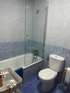 y baño de azulejos azules con aseo y ducha. en Casa vacacional equipada, en Lebrija