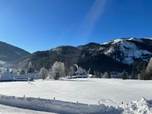 Frein Chalets - Wildalm v zime