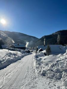 Frein Chalets - Wildalm v zime