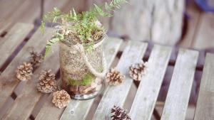 Fotografie z fotogalerie ubytování Pine Point v Trenčianských Teplicích