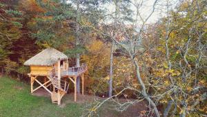 Příroda nedaleko luxury tent
