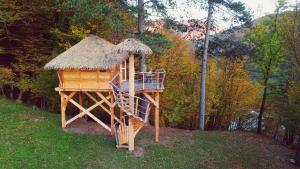 Příroda nedaleko luxury tent