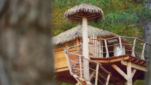 Fotografie z fotogalerie ubytování Pine Point v Trenčianských Teplicích