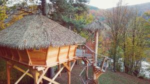 Příroda nedaleko luxury tent