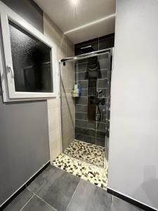La salle de bains est pourvue d'une douche avec une porte en verre. dans l'établissement Brugière, à Vogüé