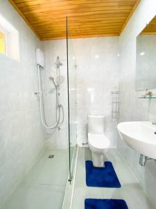 een badkamer met een douche, een toilet en een wastafel bij Studio Hermina in Willemstad
