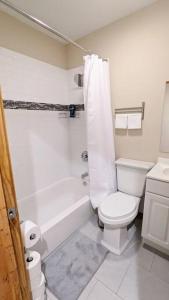 a bathroom with a toilet and a tub and a sink at 3 Bedroom Hardwood Palace of Charleston in Charleston