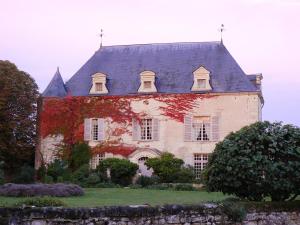 een oud huis met een blauw dak bij Gite Chateau de Chaintres in Dampierre-sur-Loire