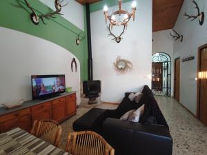 TV a/nebo společenská místnost v ubytování Casa Almadén 1