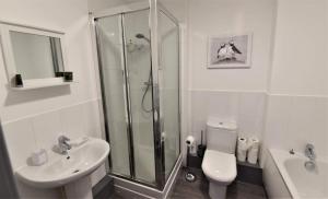 e bagno con doccia, servizi igienici e lavandino. di Stunning, 1-Bedroom Cosy Apartment in the Centre of Birmingham a Birmingham