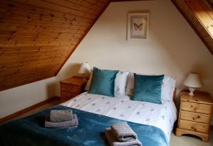 a bedroom with a bed with blue pillows at Thistle Cottage in Lairg