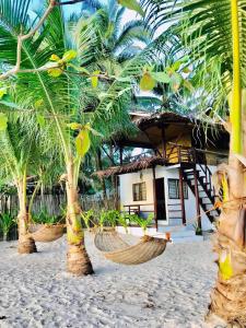 a resort with palm trees and hammocks on the beach at Baybayon Sunset View in El Nido