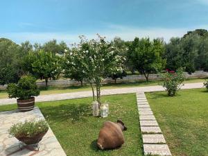 a large turkey sitting in the grass next to a tree at ZENIA Pelion garden house in Platanidia