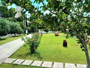 ogród z drzewem i kwiatami w trawie w obiekcie ZENIA Pelion garden house w mieście Platanidia
