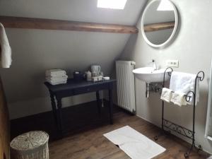 ein Badezimmer mit Waschbecken und Spiegel in der Unterkunft B&B De Hulst in Izegem
