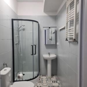 a bathroom with a shower and a toilet and a sink at Nevada in Gdynia