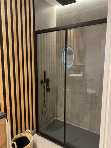 um chuveiro com uma porta de vidro na casa de banho em Sevilla deluxe suites em Sevilha