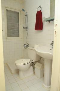 La salle de bains est pourvue de toilettes et d'un lavabo. dans l'établissement Dahabiya Giraffa, à Louxor