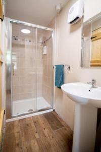 a bathroom with a shower and a sink at Glynn's Charming cottage in the Burren in Fanore