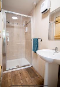 a bathroom with a shower and a sink at Glynn's Charming cottage in the Burren in Fanore