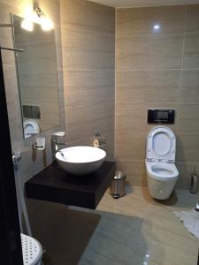 W łazience znajduje się umywalka, toaleta i lustro. w obiekcie Baka's Apartment in Gudauri w mieście Gudauri
