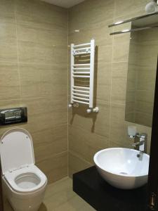 a bathroom with a toilet and a sink at Baka's Apartment in Gudauri in Gudauri