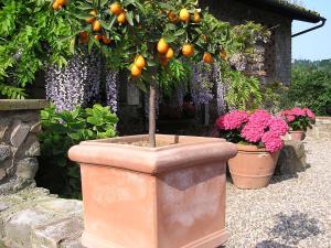 Ein Garten an der Unterkunft Il Poggiolo Delle Rose Bed&Breakfast